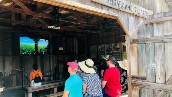 New Orleans: Swamp Boat Ride & Oak Alley Plantation Tour