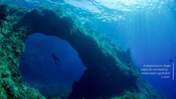From Porto Ercole: Giannutri Island Snorkeling Boat Trip
