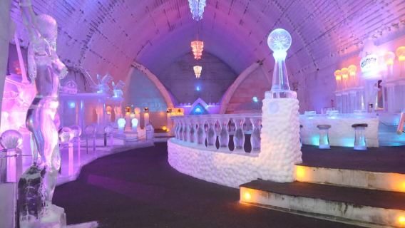 フェアバンクス：オーロラ氷博物館チケット＆ガイド付きツアー