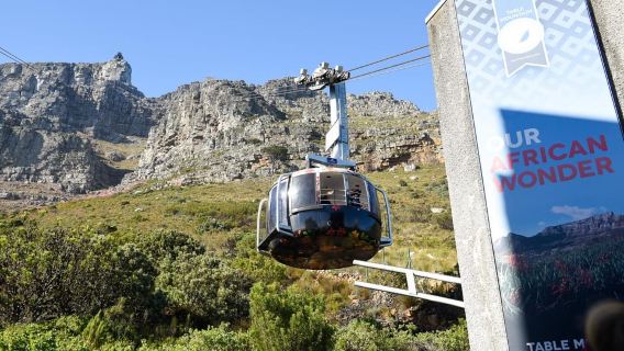 Half-Day Table Mountain & City Tour