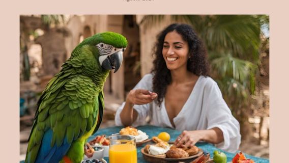 Breakfast with parrots at Masseria Mazzetta with wildlife park