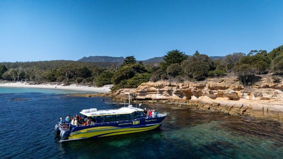 Maria Island Tagesausflug inklusive Inselrundfahrt mit Bootsfahrt + Wanderung auf der Insel + Morgenkaffee und Mittagessen|ab und bis Hobart