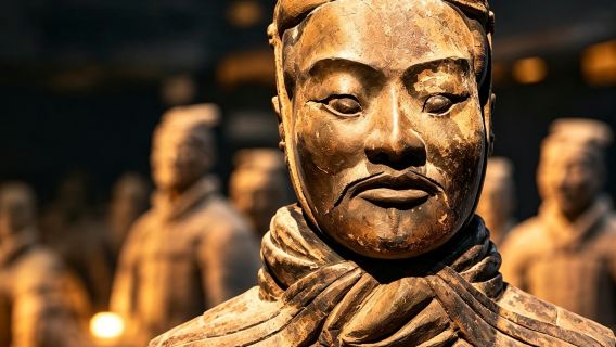 Xi'an Terrakottaarmén: Halvdags guidad rundtur med lunch hos en lokal familj