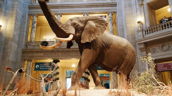 Washington D.C.Tours