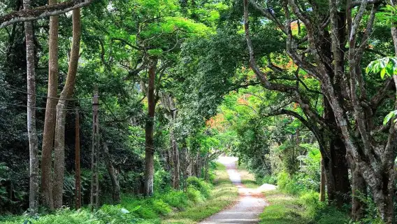 The North Of Phu Quoc Island Day Tour