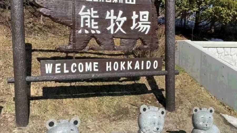 北海道洞爺湖一日遊