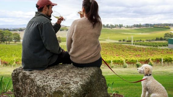 Australia Yarra Valley & Dandenongs Ranges Food and Wine day tour (includes multiple famous wineries and lunch)
