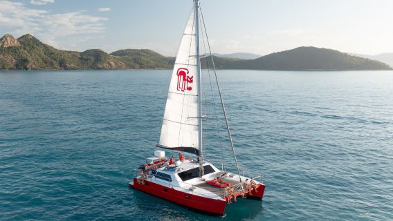 セントラルコースト ワンデーツアー【トンガラ セーリングボートクルーズ+ランフォードリーフシュノーケリング】