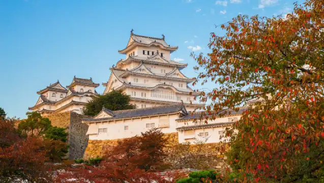 姬路城+好古園+有馬温泉鄉+六甲山一日遊【含餐】