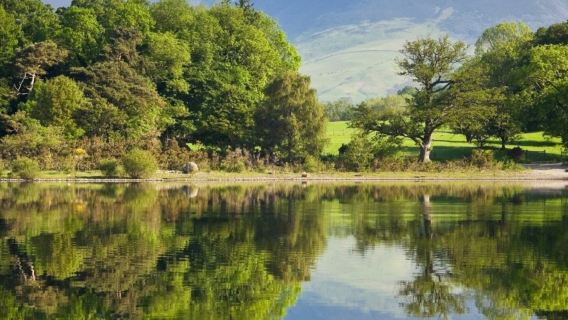 Lake District: Perjalanan Sehari + Kapal Pesiar dari London dengan Teh Krim