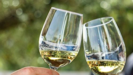 Algarve: tour guidato del vino per piccoli gruppi + esplorazione di Silves