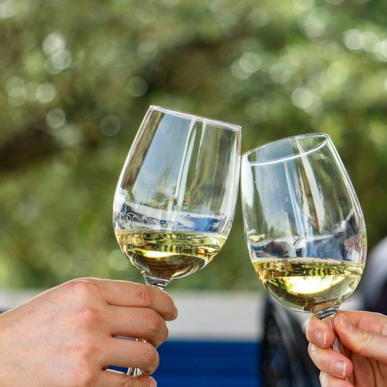 알가르브: 소규모 와인 투어 + 실베스 탐방