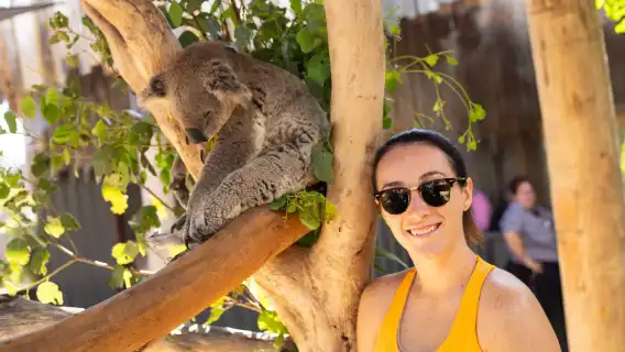 雪梨動物園＋藍山國家公園＋盧拉＋回聲角＋藍山絕景世界一日遊