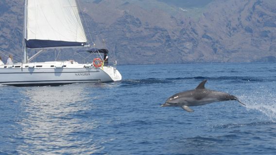 Tenerife: 3-Hour Sailing Tour to Los Gigantes with Snorkelling, Drink & Tapas
