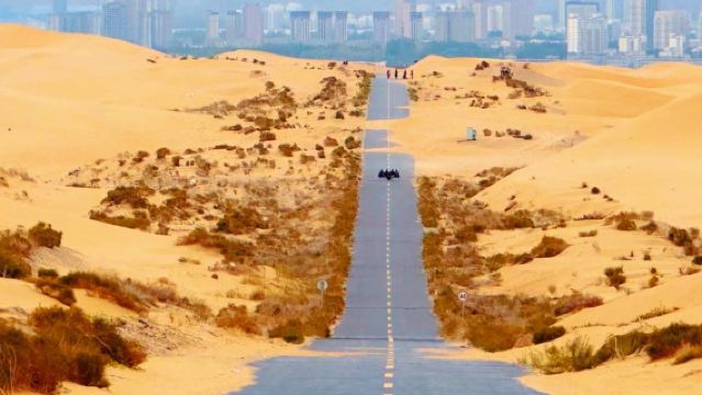 銀川出發｜烏海一日遊·越野車進沙·網紅枯樹·拉僧廟·純玩小團