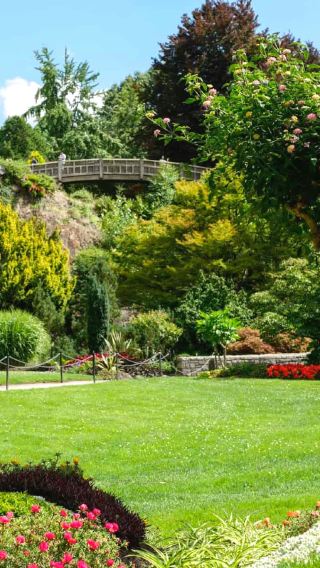 Canada: Capilano suspension bridge park + lookout day tour in Vancouver (English group) including service fee