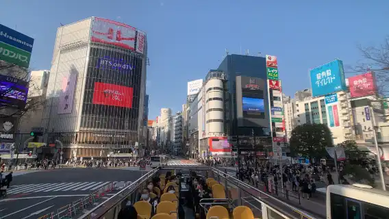 東京＋鎌倉日帰りツアー：江ノ島・江ノ電・鎌倉高校＋東京スカイバス