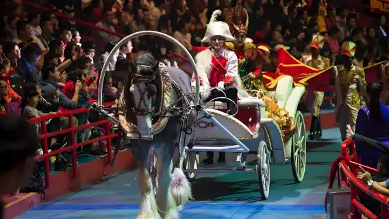 Guangzhou Chimelong International Circus and Chimelong Safari Park Day Tour (Private or Group Tour Available)