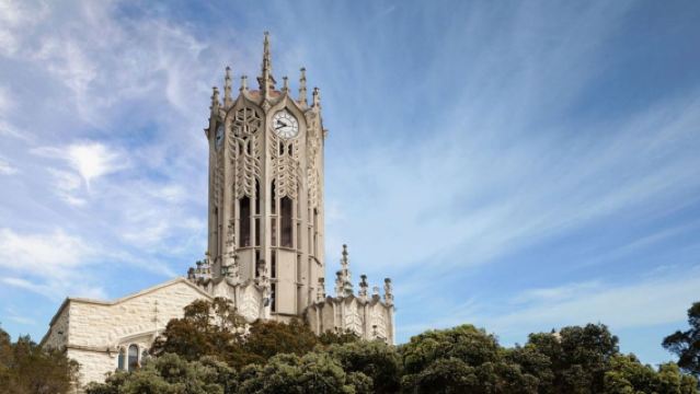 New Zealand Auckland Art Gallery + Sky Tower Walk + Queen Street | Premium Tour | Flexible Itinerary