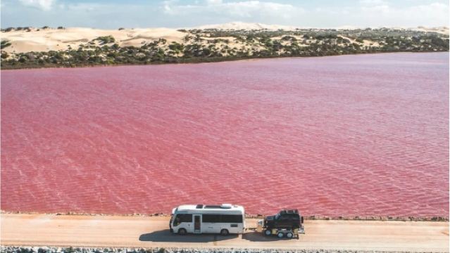Lawatan Sehari ke Tasik Pink Penfolds Australia Selatan - Ladang Anggur Penfolds + Tembok Gema + Tasik Pink yang Menakjubkan