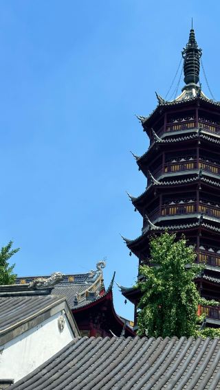 1-day tour to Wuxi Plum Garden + Huishan ancient town + Nanchang Street + Xihui Scenic Area with Chinese and English-speaking service