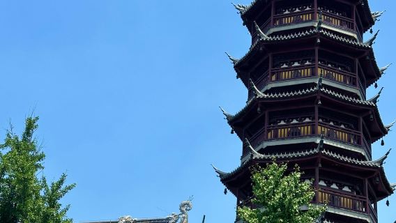 Wuxi Plum Garden + Huishan Ancient Town + Nanchang Street + Nanchan Temple + Xihui Scenic Area 1-day tour with English service available