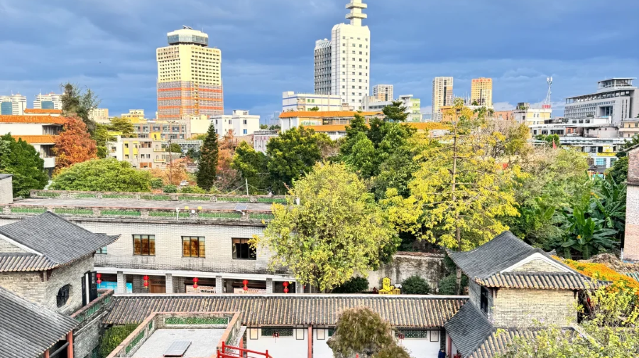 東莞威遠砲台+下壩坊+鴉片戰爭博物館+海戰博物館+可園1天遊