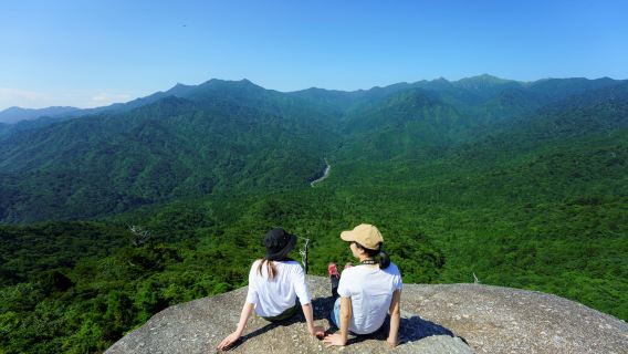 Day trip to Yakushima by high-speed Jetfoil Toppy from Kagoshima