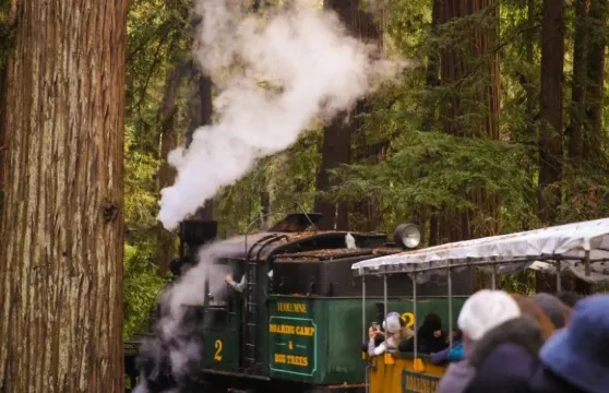 三藩市聖克魯茲森林蒸汽火車＆司導包車一日遊