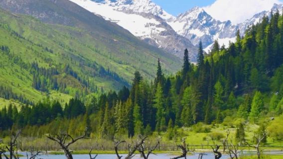 ○ Bipenggou one-day tour private group tour- admission ticket- car rental service - explore the natural journey in western Sichuan