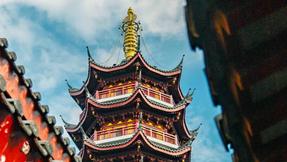 【外賓專享】8人團丨雞鳴寺+台城+玄武湖半日遊