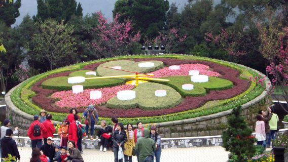 Valle Geotérmico de Beitou & Área Escénica de Yangmingshan & Yehliu (traslado desde el hotel)