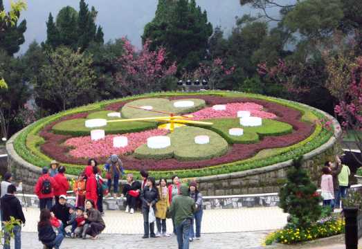 Beitou Geothermal Valley, Yangmingshan Scenic Area, and Yehliu Day Tour (Hotel Pickup)