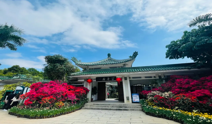  [샤먼] 하문시티투어&민남전기쇼