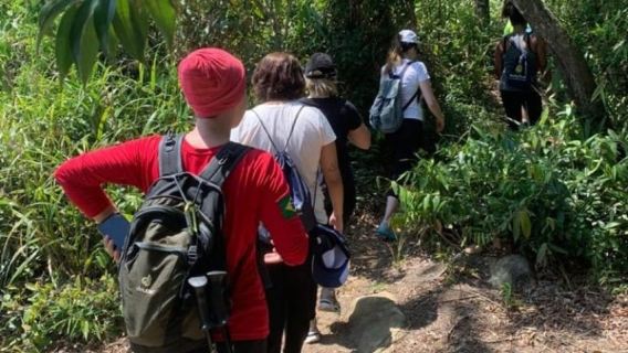 Paraty: Trekking- und Wandertour zum Gipfel des Pão de Açucar