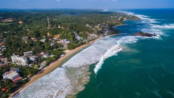 Bentota: Naik Perahu Rawa Melintasi Hutan Mangrove