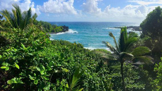 Maui: Recorrido turístico por la carretera a Hana