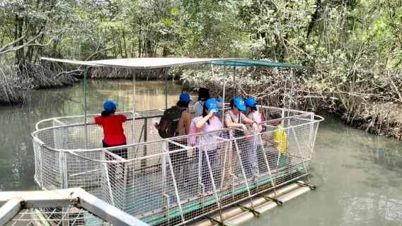 Ho Chi Minh: RESERVA DEL BISOFERO DE CAN GIO - MONO DE LA ISLA