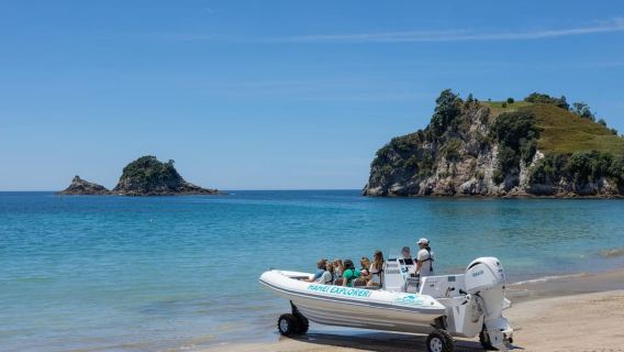 Coromandel