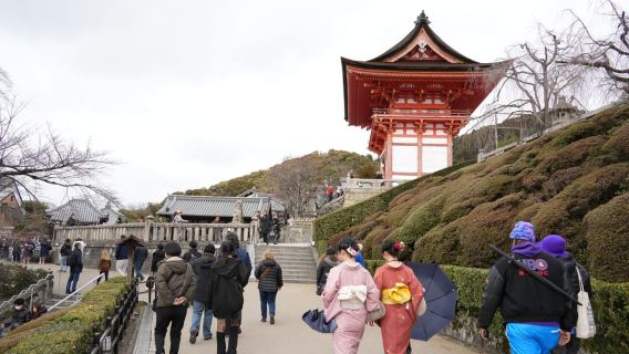 Kioto: tour guiado de día completo en autobús con entradas incluidas