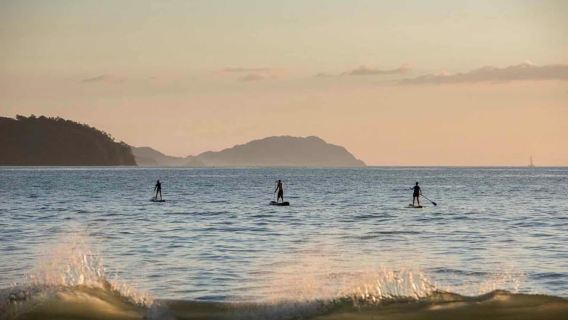 Las Catalinas Costa Rica: 5 điều TUYỆT VỜI NHẤT để làm trong mọi chuyến tham quan