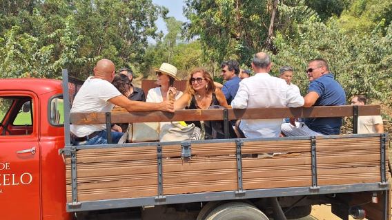 Da Porto: Valle del Douro, Degustazione di vini, Barca, Pranzo con vino, Esclusiva