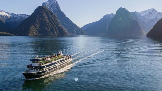 Tour di un giorno nel Milford Sound, Nuova Zelanda [Partenza opzionale da diverse località | Scelta tra RealNZ / Southern Discoveries | Trasferimento opzionale, 1 giorno per esplorare la meraviglia naturale]