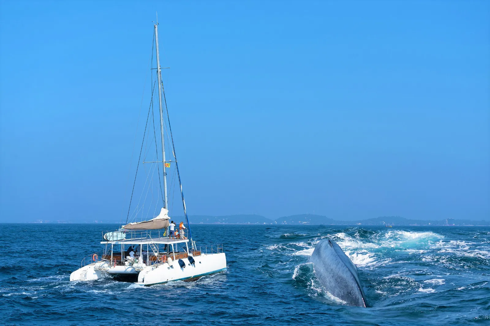Colombo, Sri Lanka + Mirissa Whale Watching Tour