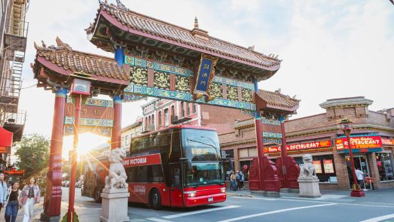 Victoria: Hop-On-Hop-Off Sightseeing Bus Tour