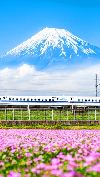  Mt Fuji & Hakone  One Day Tour from Tokyo,Return by Bullet Train