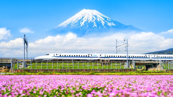 Excursión de un día al monte Fuji y Hakone desde Tokio con regreso en tren bala