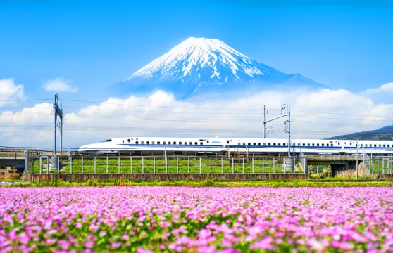 東京出發富士山及箱根一日遊，乘搭子彈火車回程