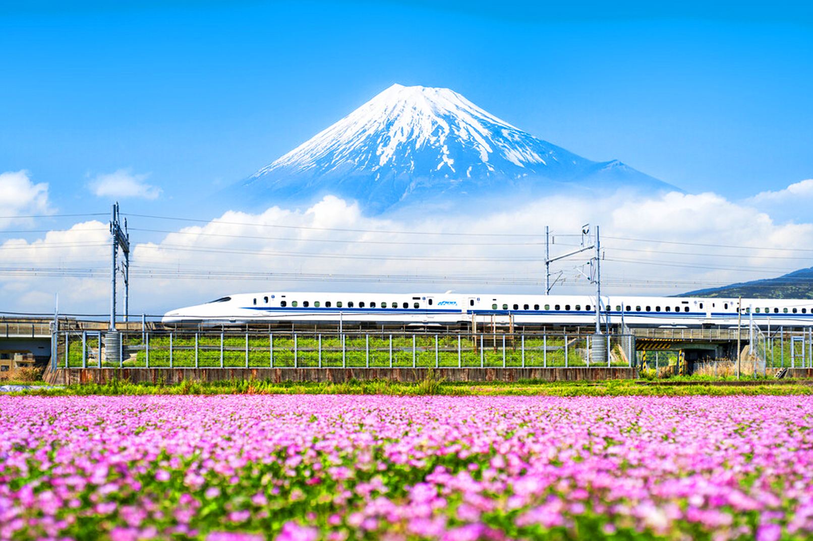 Tur Harian Gunung Fuji & Hakone dari Tokyo, Kembali dengan Kereta Api Peluru