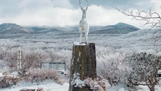 濟州島西南線一日遊｜門票全含｜漢拿山國立公園+追海豚｜4-15人團